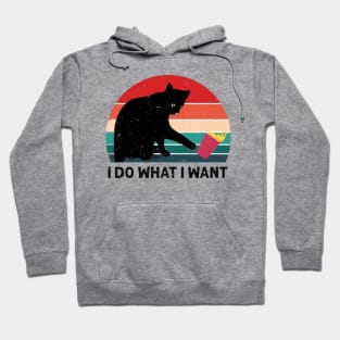 Cat: I do what i want Hoodie